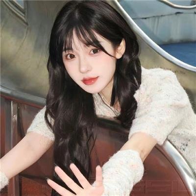 壳中少女 排气